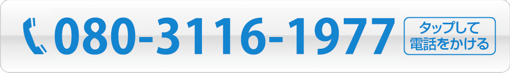 080-3116-1977